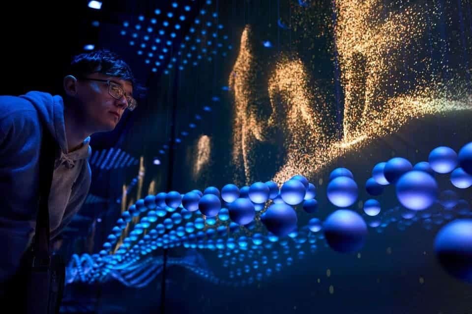 Опит с шотландско уиски Единбург Шотландия 2026